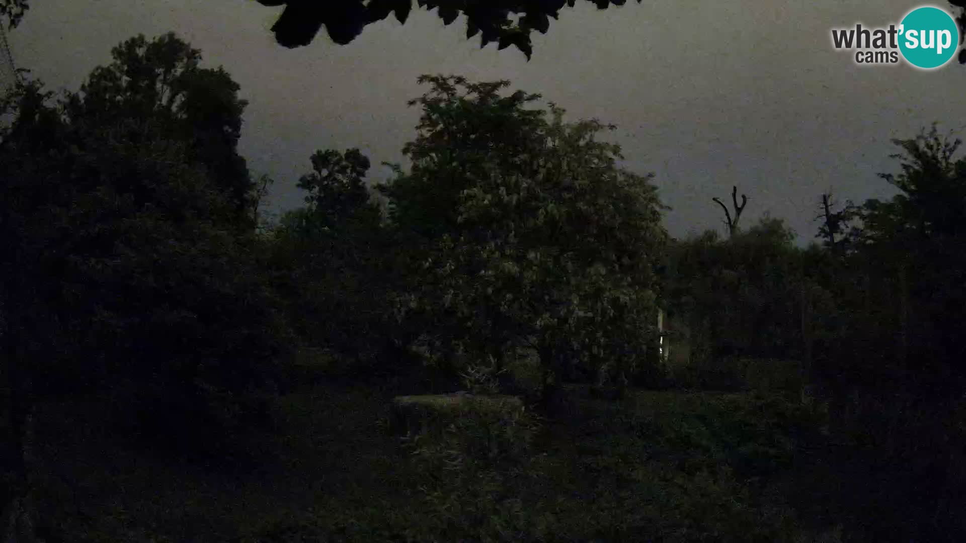 Zoo Zagreb – Löwen