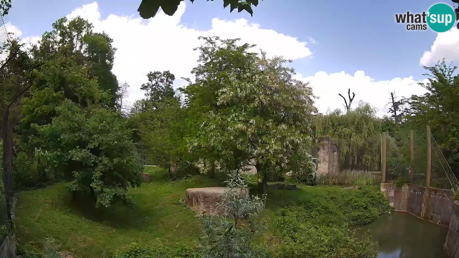 Zoo Zagreb – Leoni