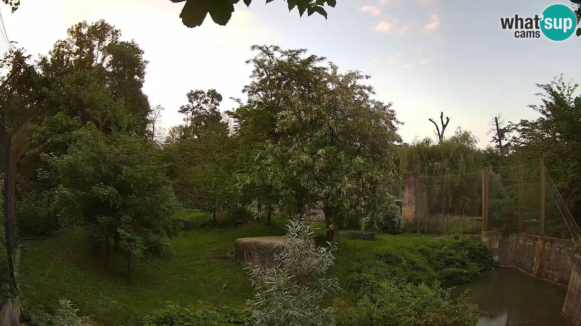 Zoo Zagreb – Löwen