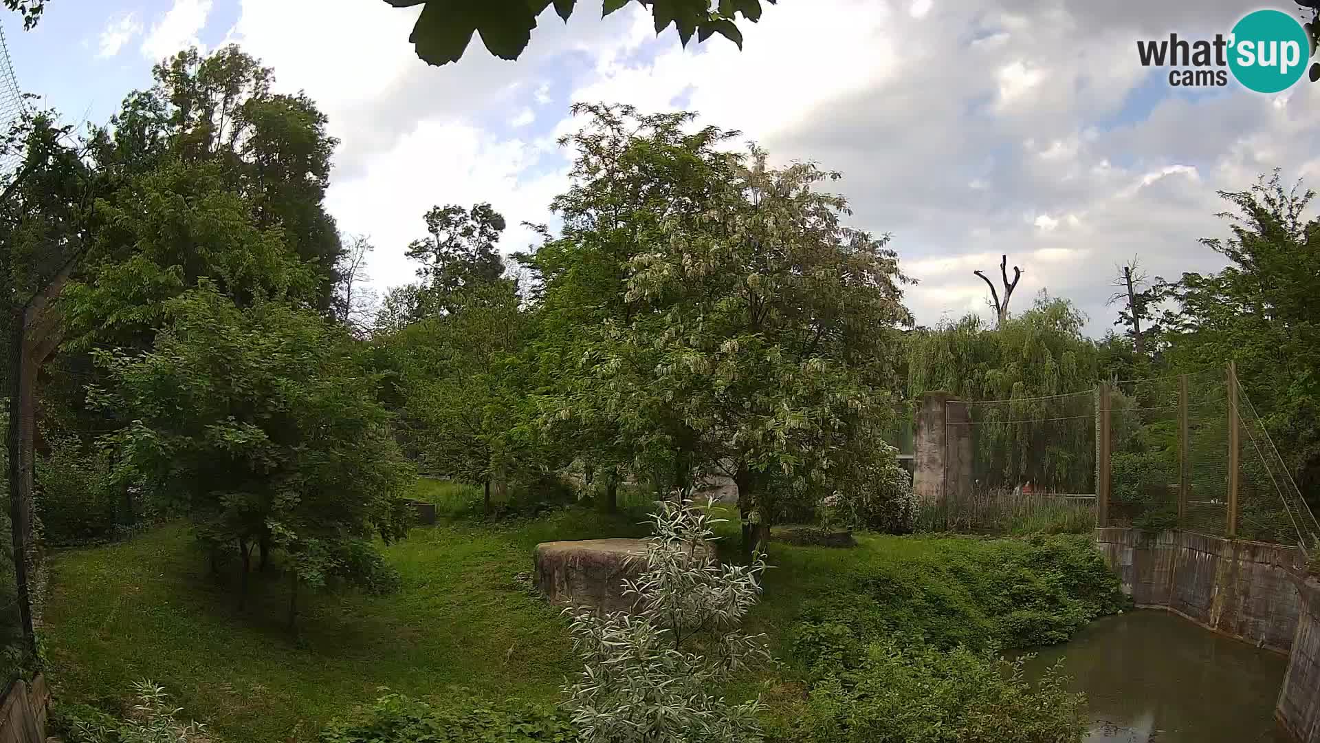Zoo Zagreb – Lion