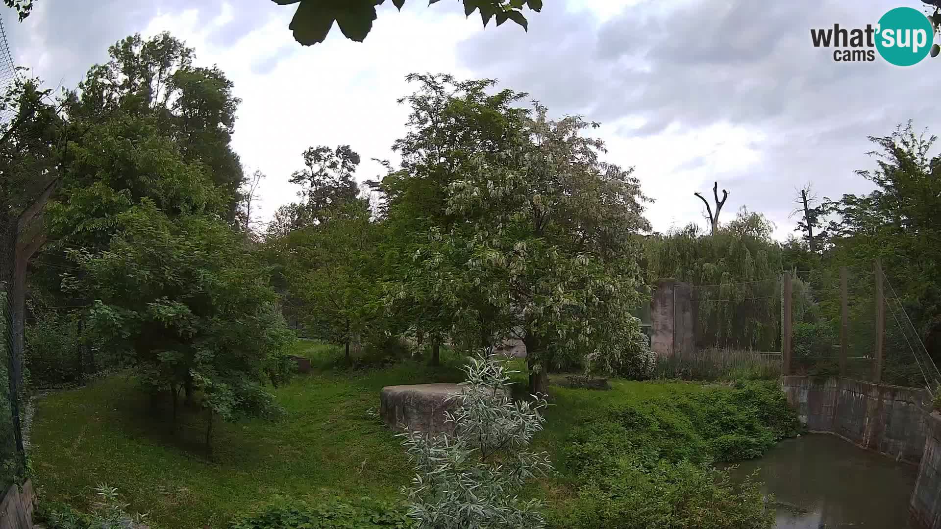 Zoo Zagreb – Löwen
