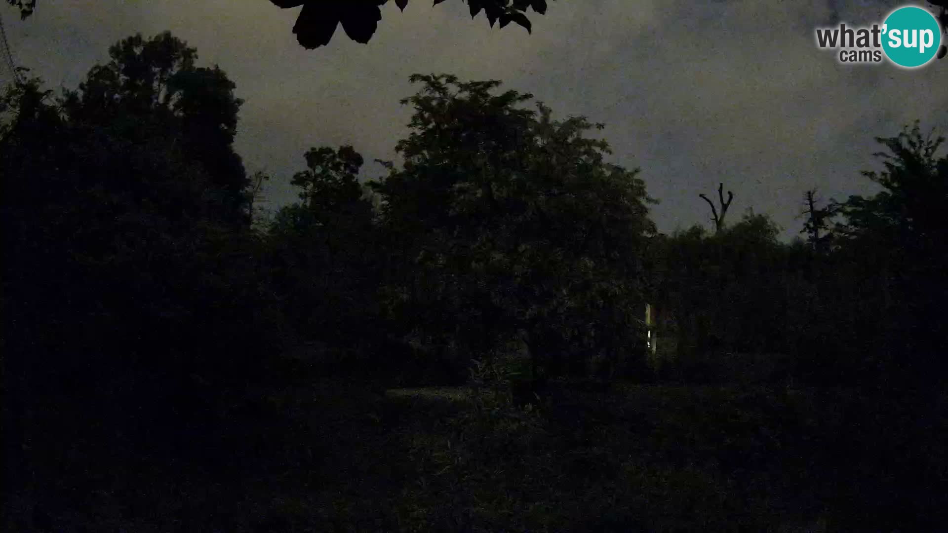Zoo Zagreb – Löwen