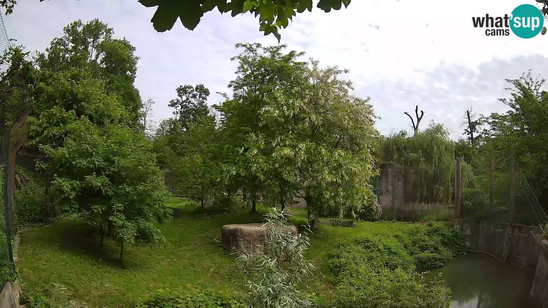 Zoo Zagreb – Leoni