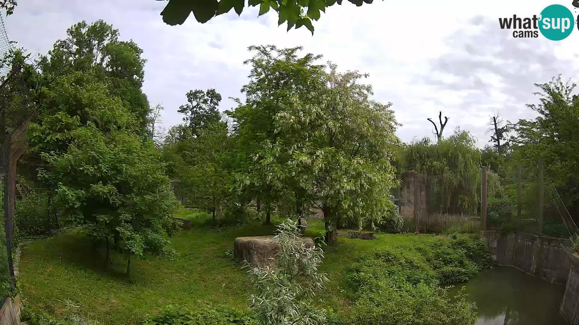 Zoo Zagreb – Leones