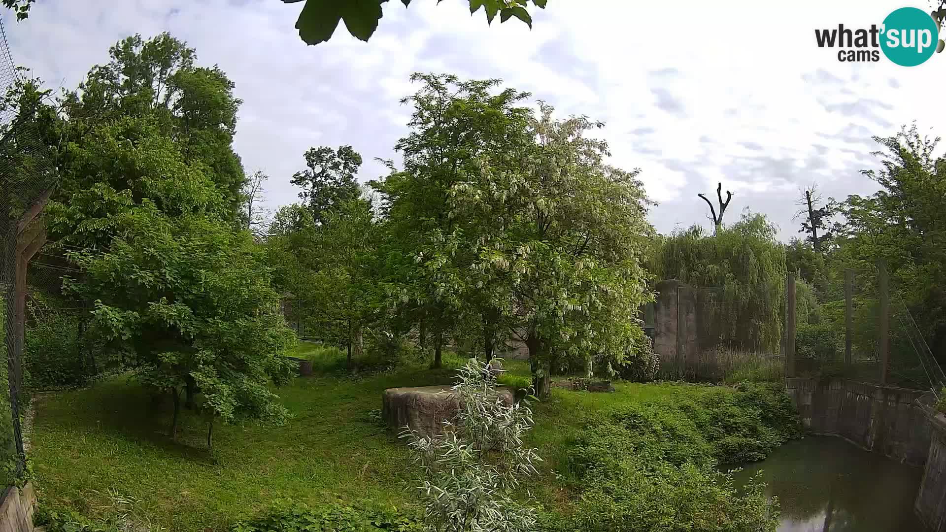 Zoo Zagreb – Leones