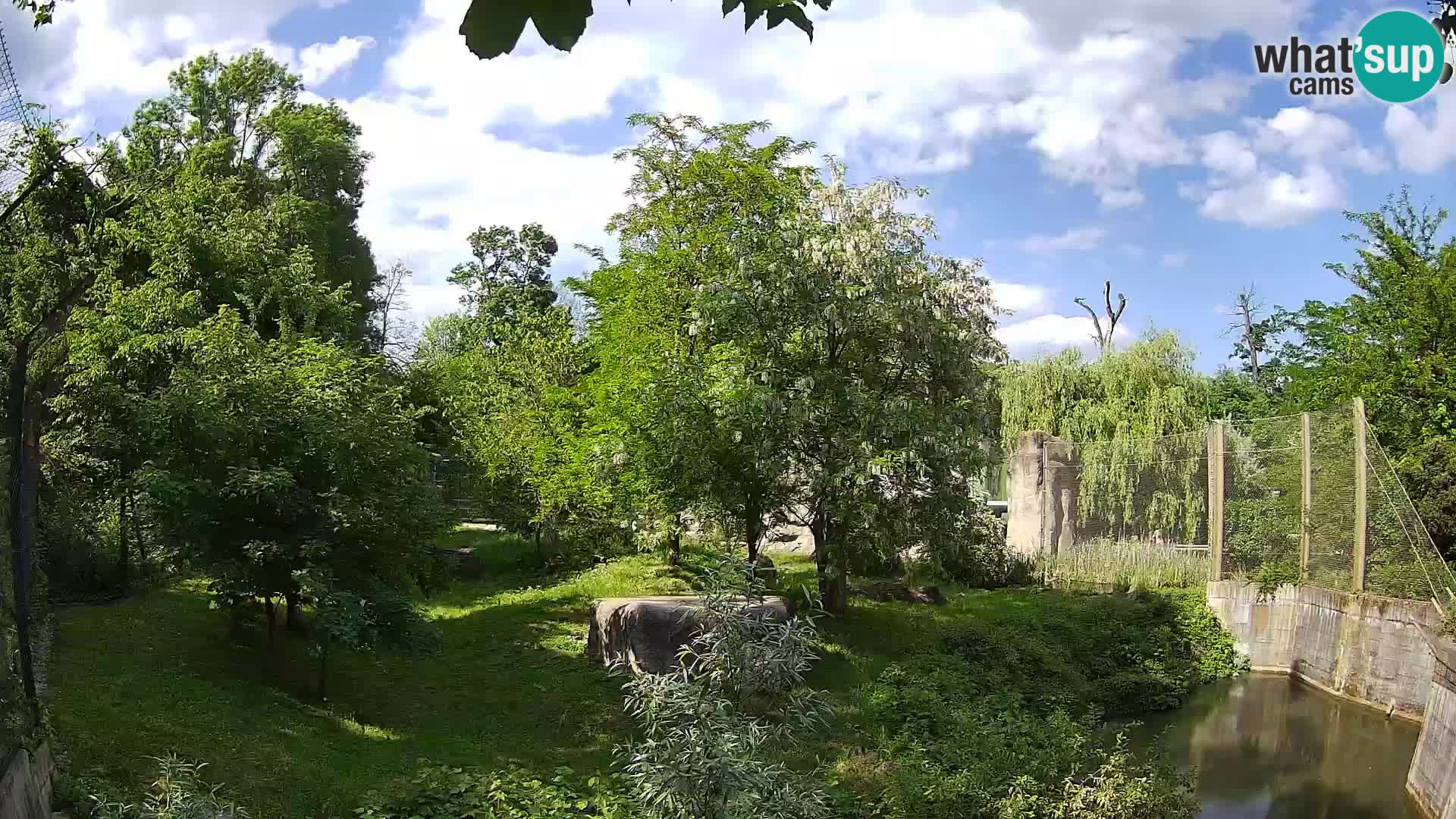 Zoo Zagreb – Leones