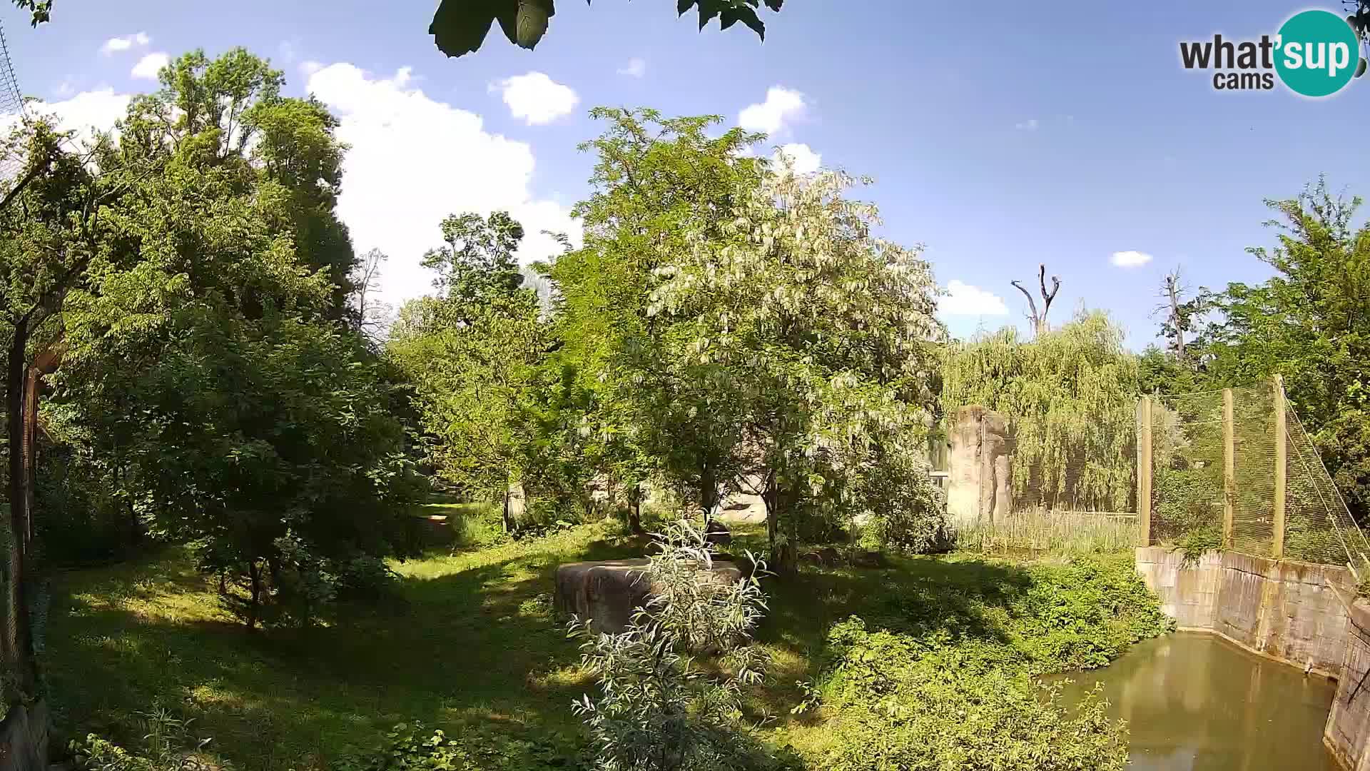 Zoo Zagreb – Leoni