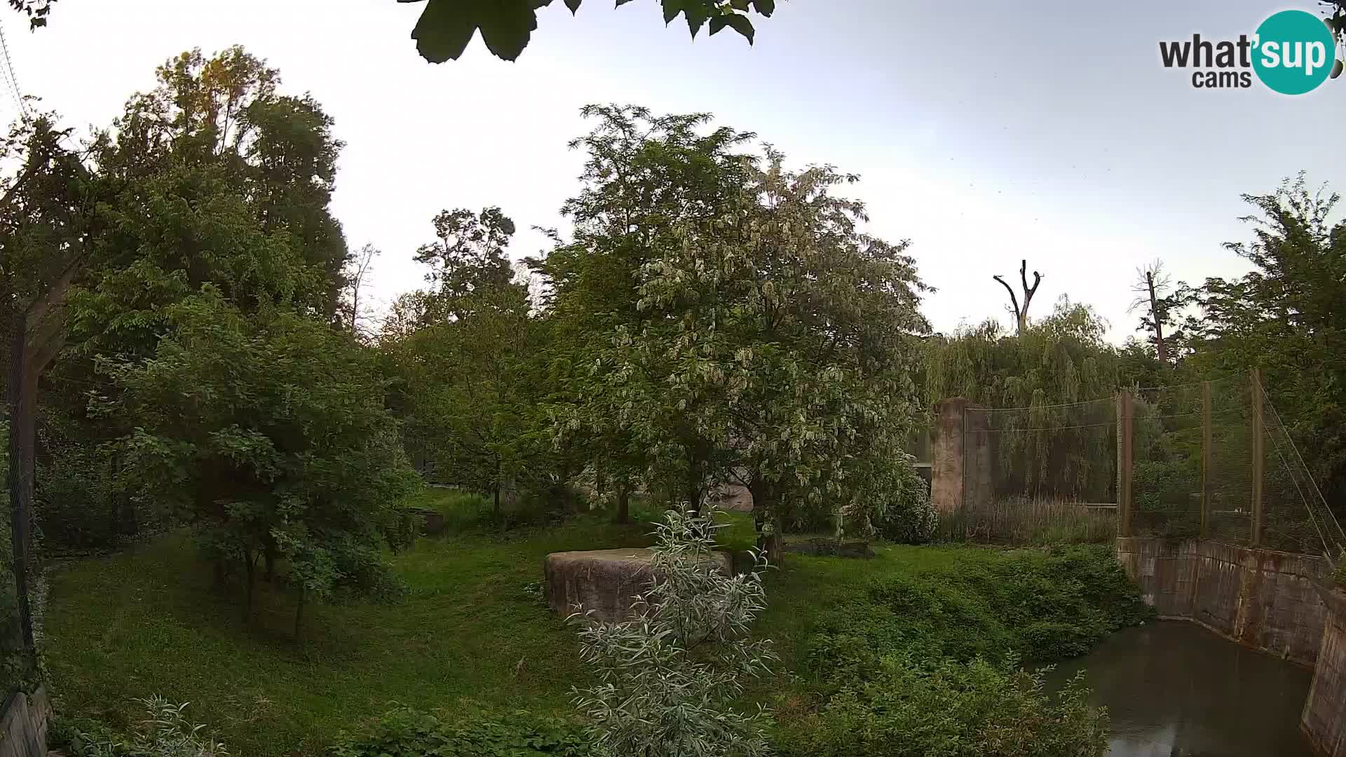 Zoo Zagreb – Leones