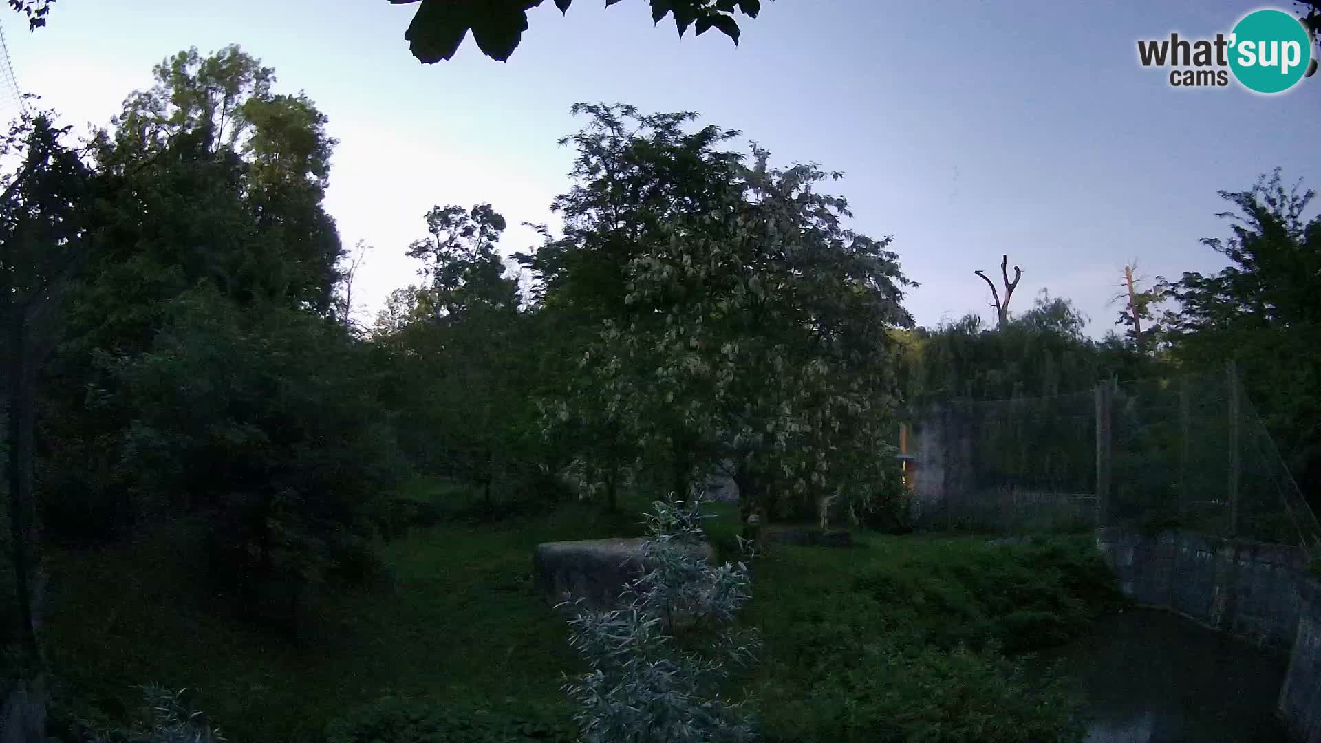 Zoo Zagreb – Löwen