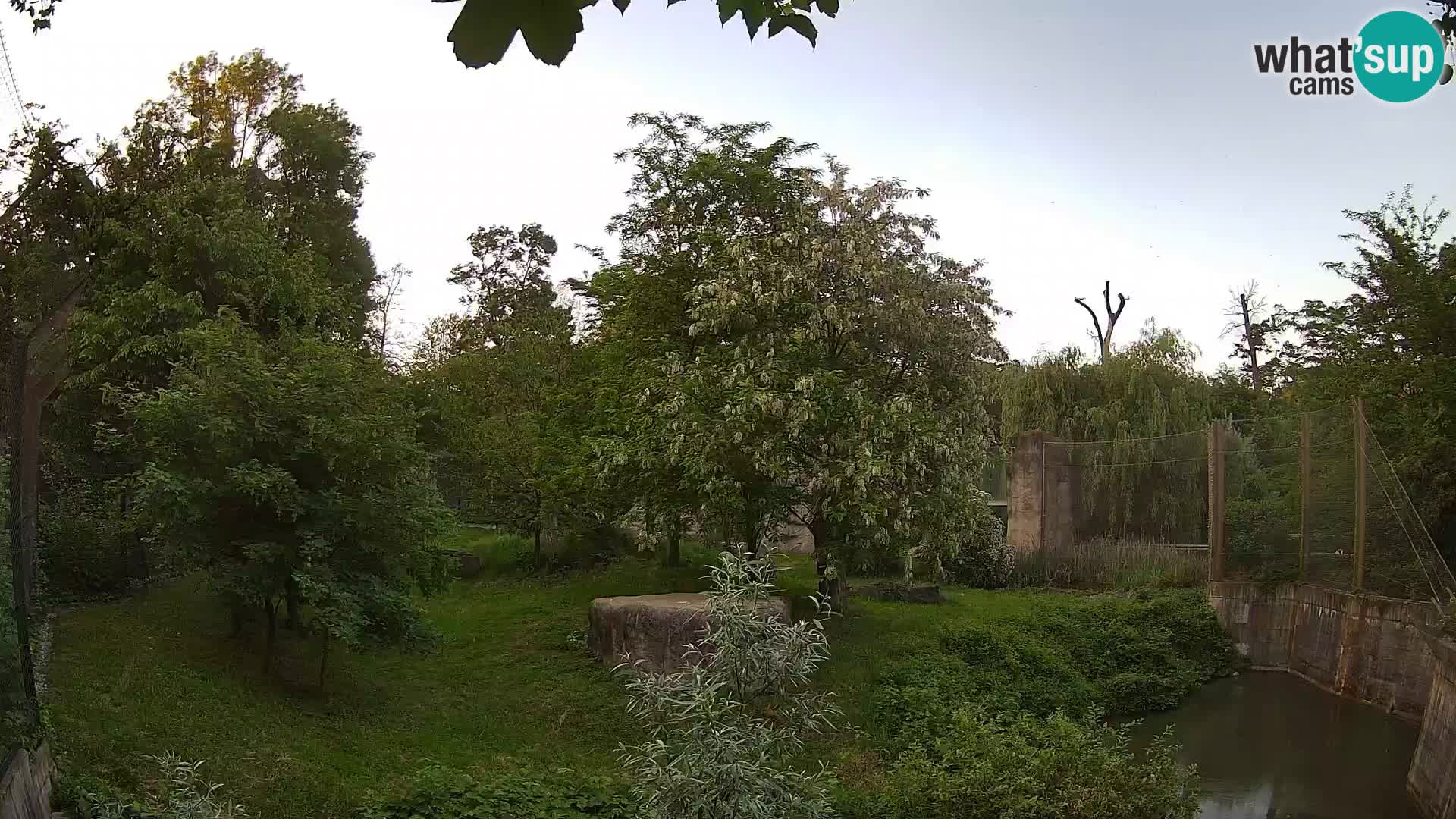 Zoo Zagreb – Löwen