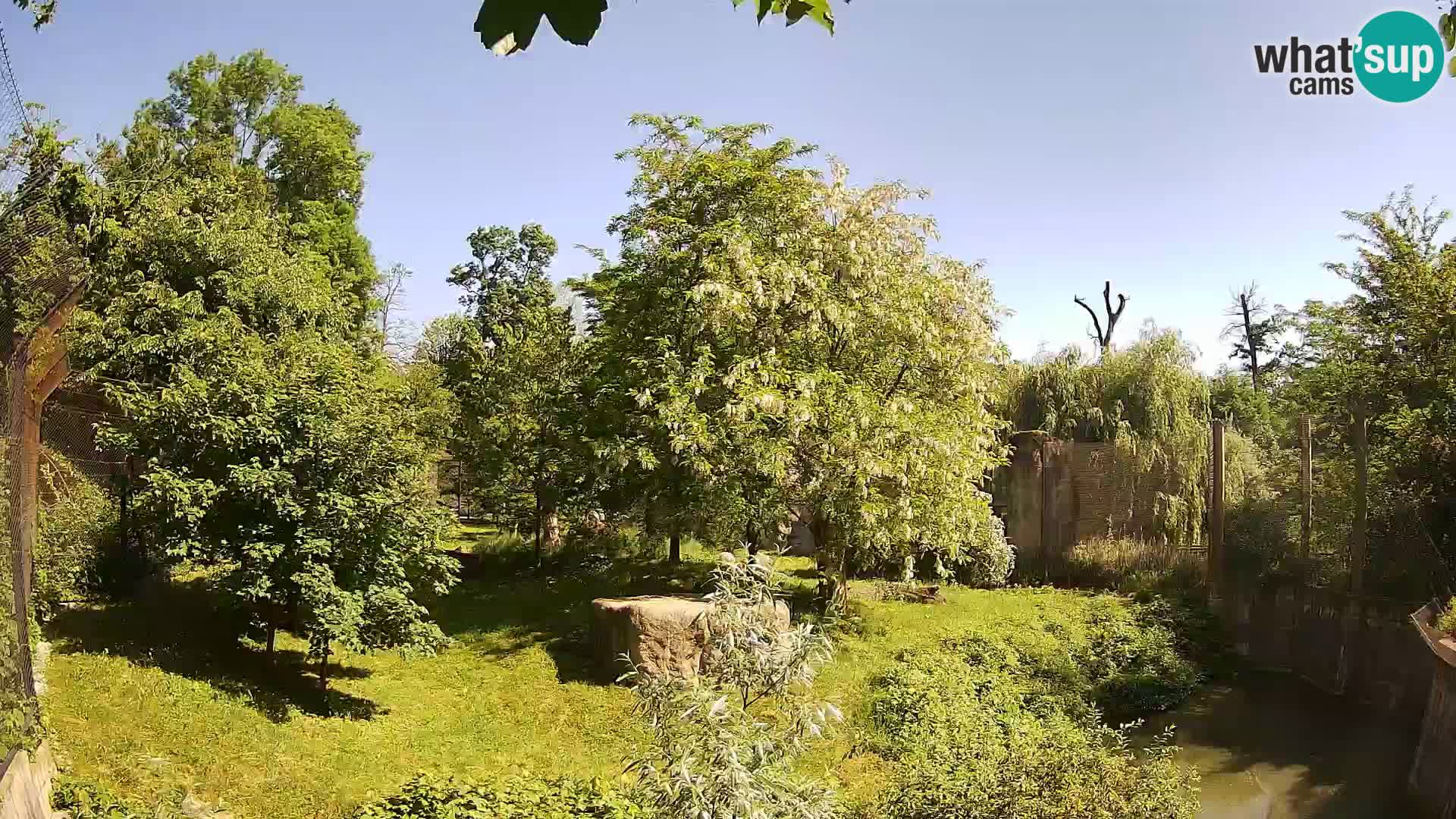 Zoo Zagreb – Leones