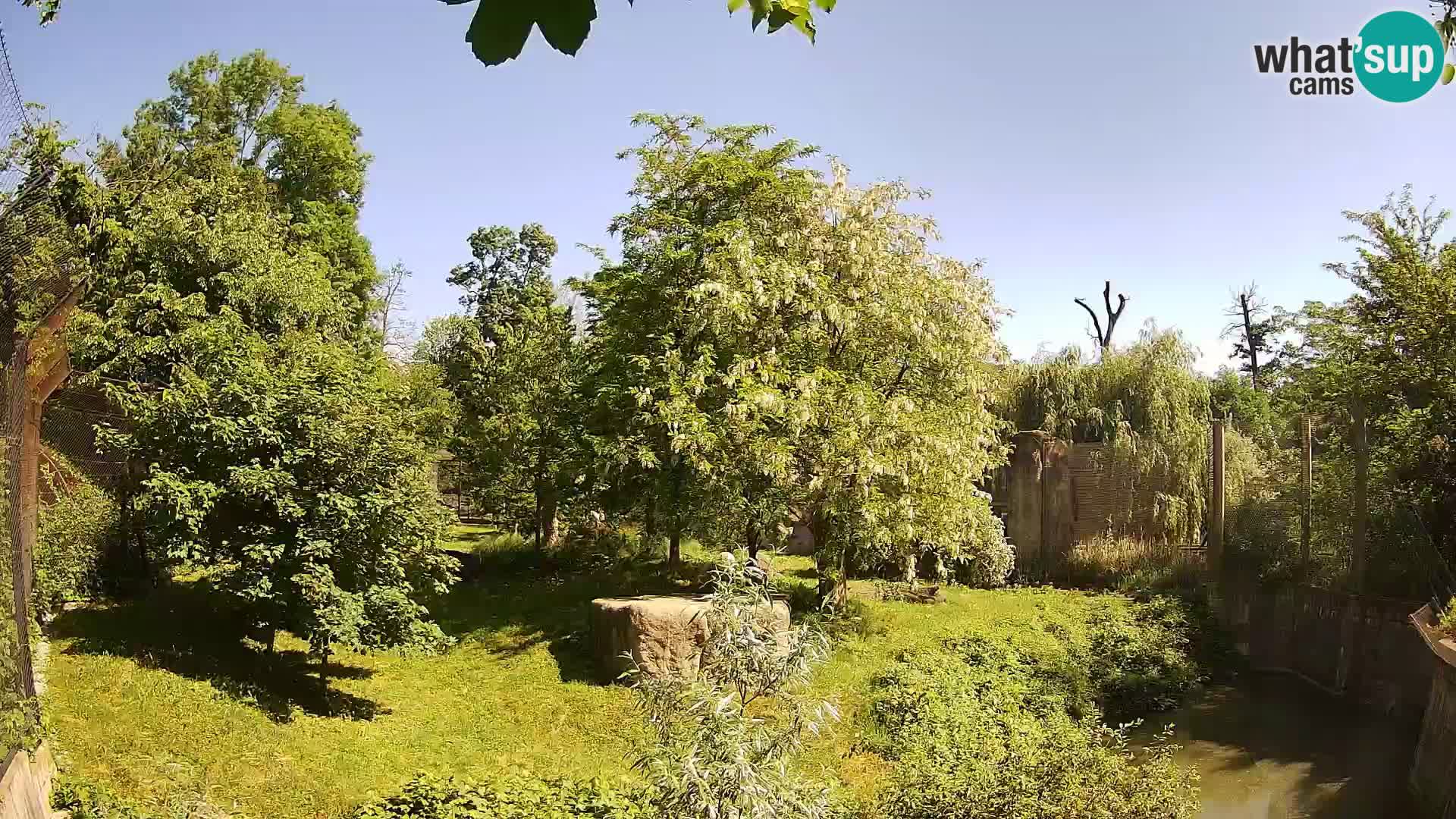 Zoo Zagreb – Leoni
