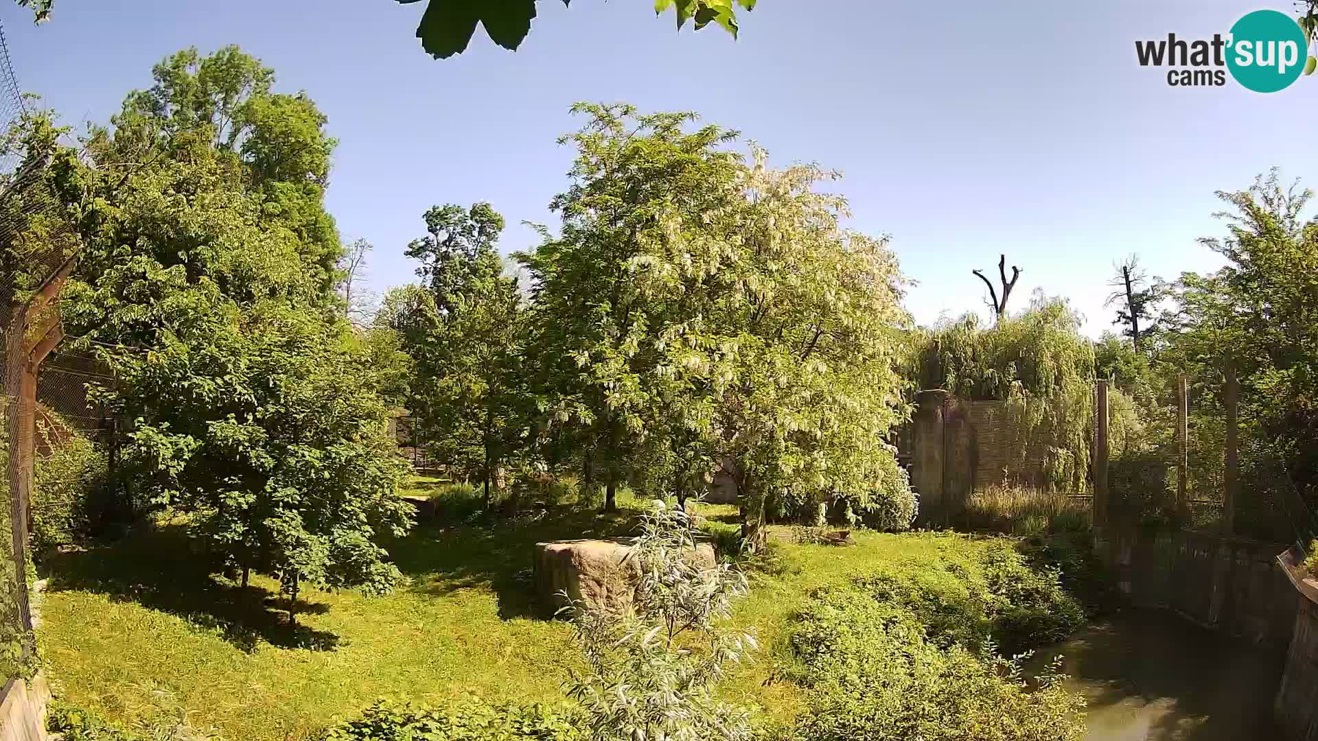 Zoo Zagreb – Leones