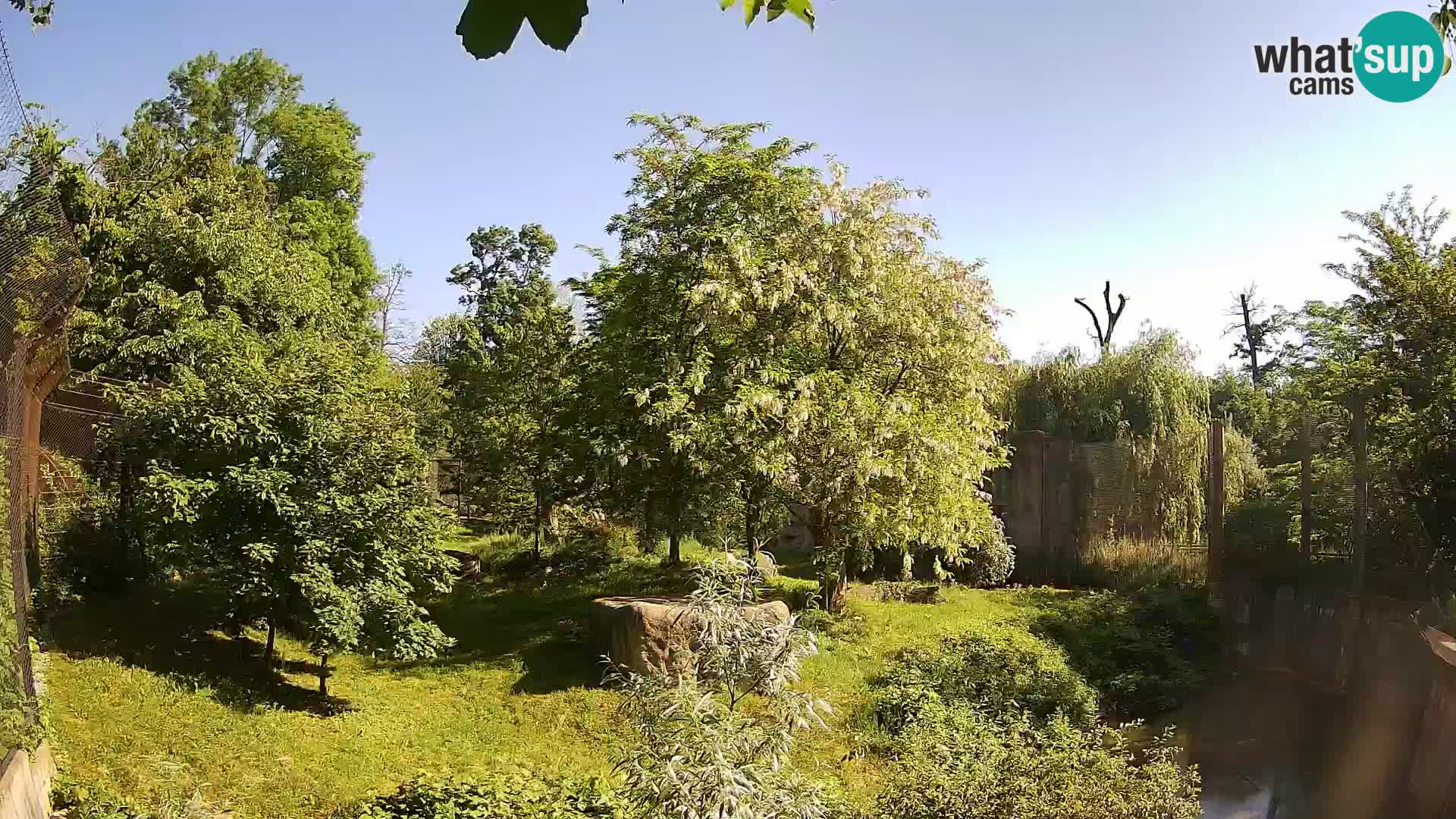 Zoo Zagreb – Leones