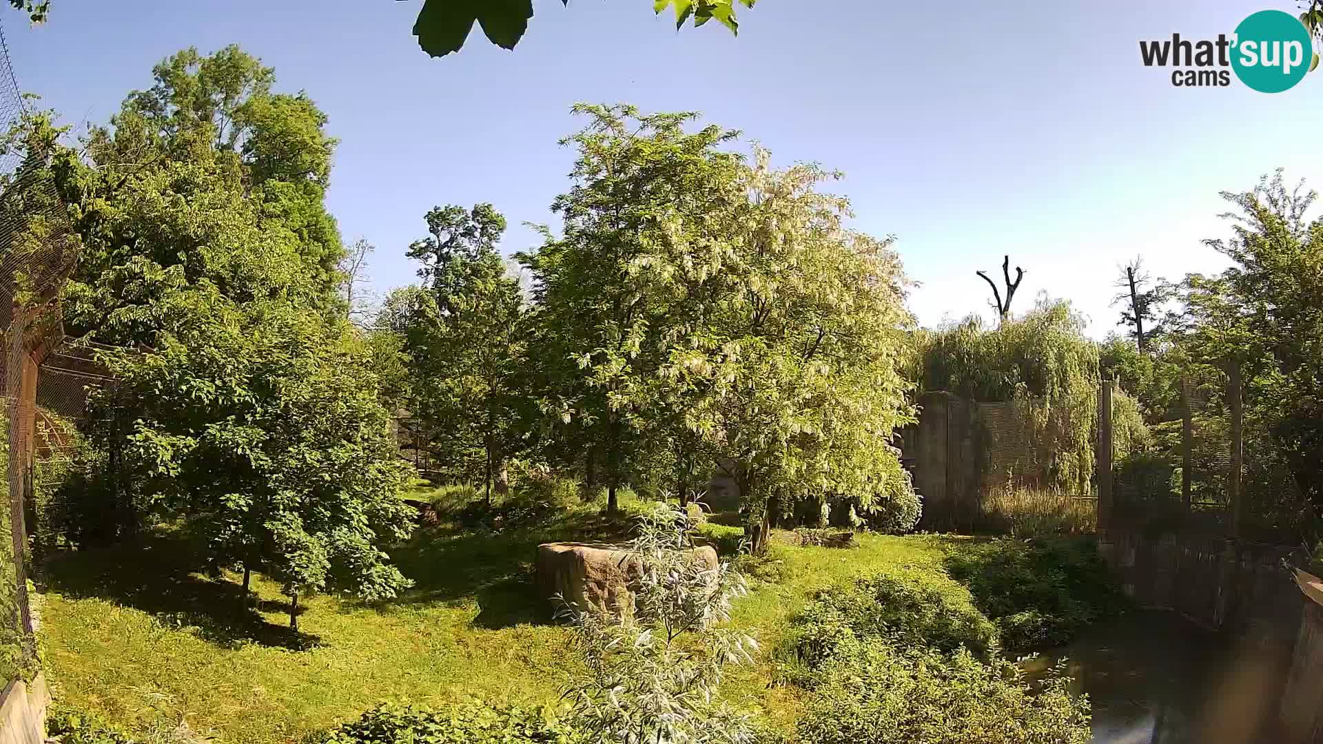Zoo Zagreb – Löwen