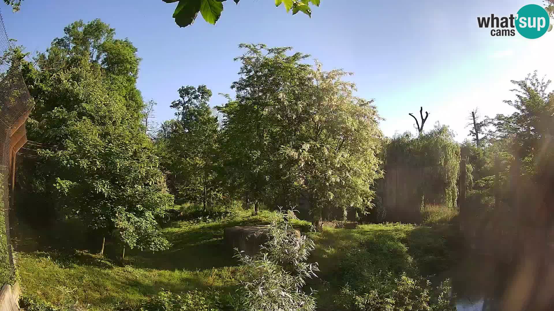 Zoo Zagreb – Löwen