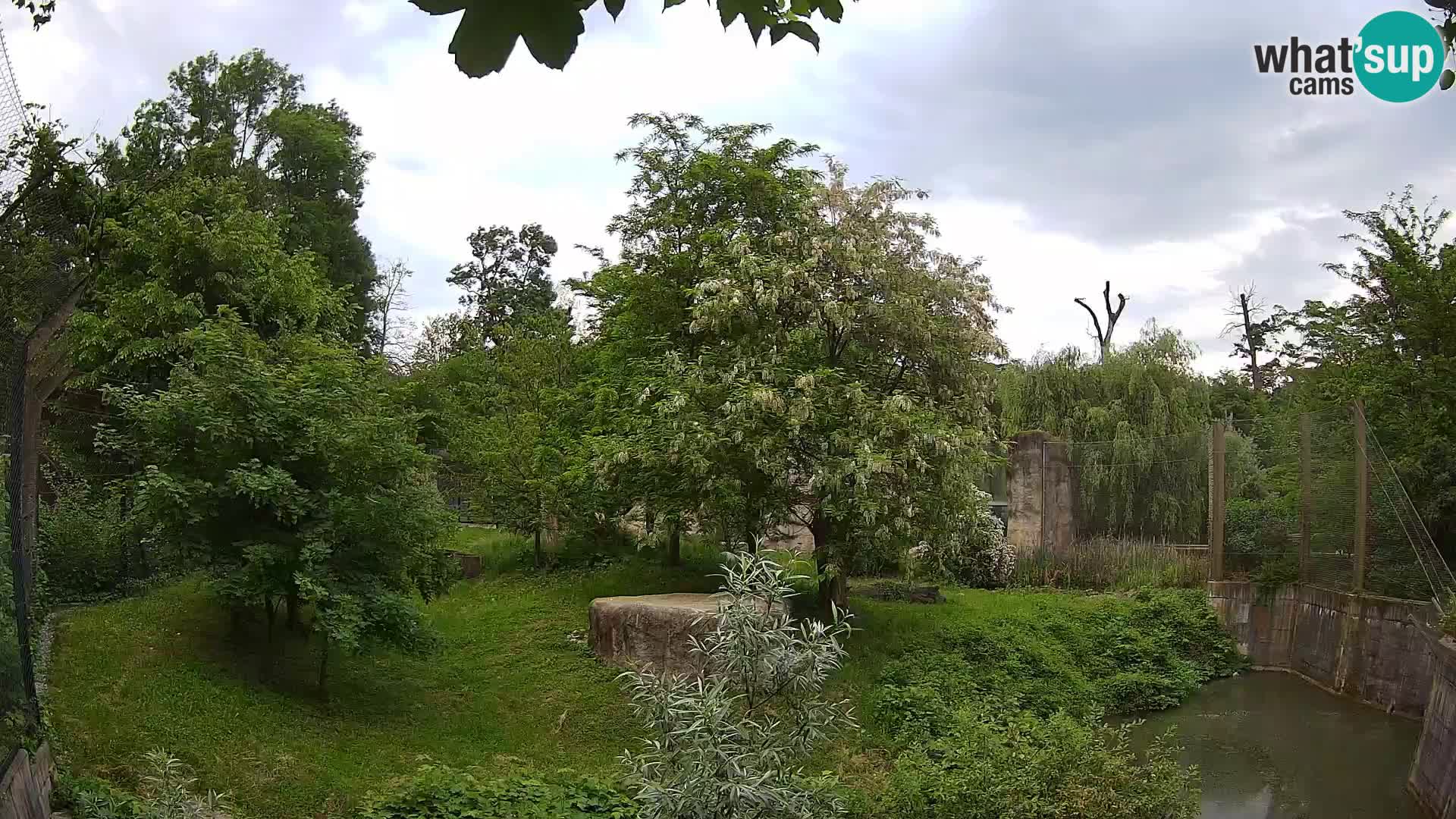 Zoo Zagreb – Leoni
