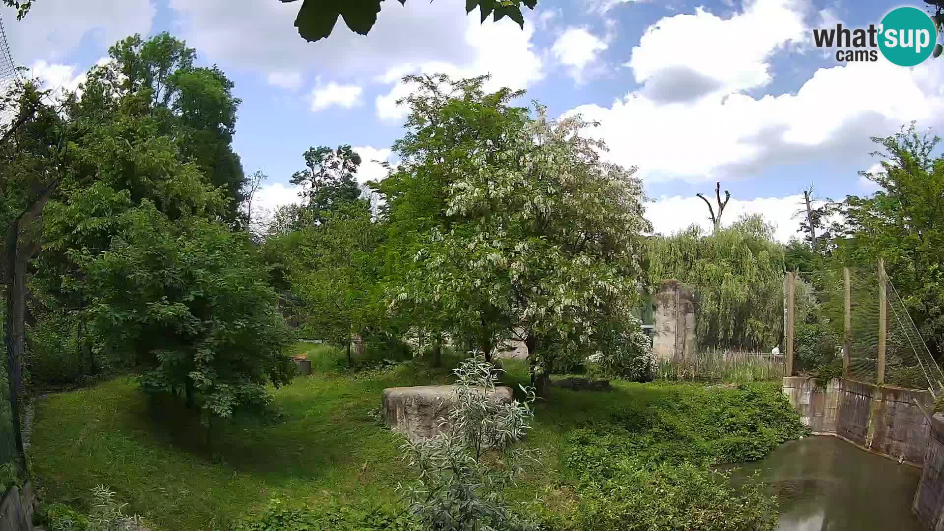 Zoo Zagreb – Leones