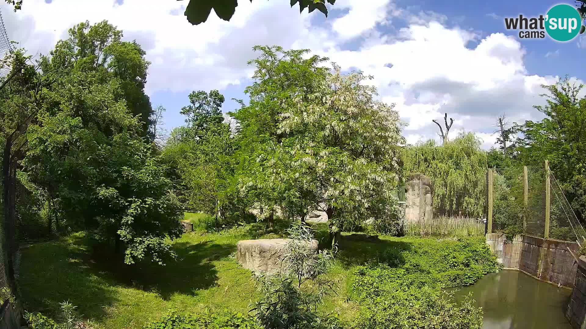 Zoo Zagreb – Leoni