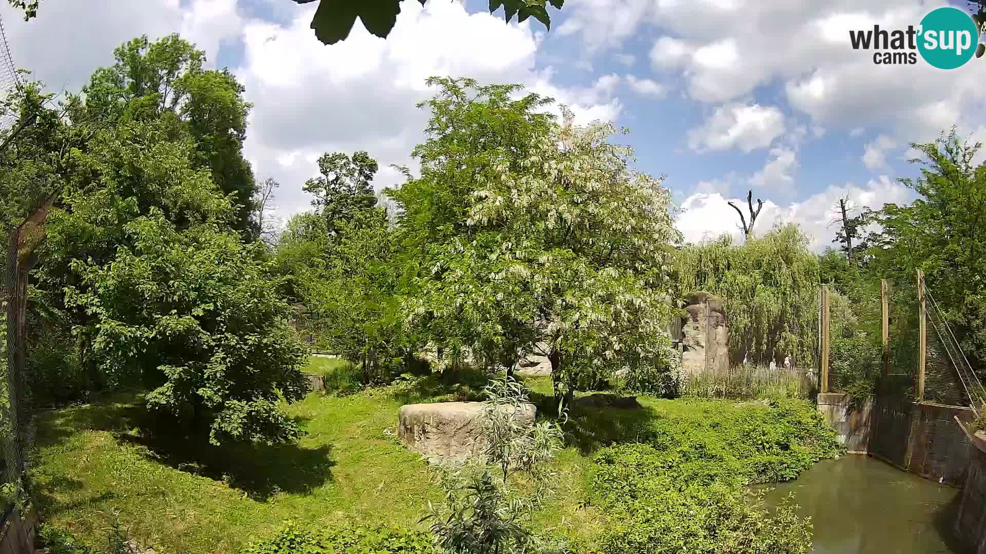 Zoo Zagreb – Löwen