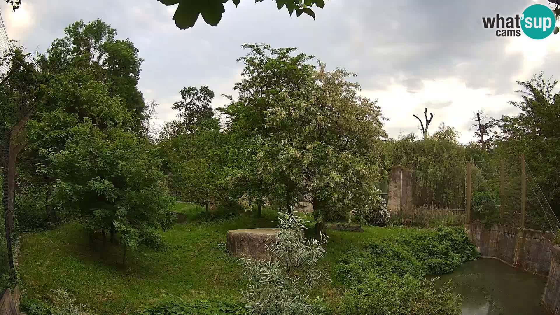 Zoo Zagreb – Löwen