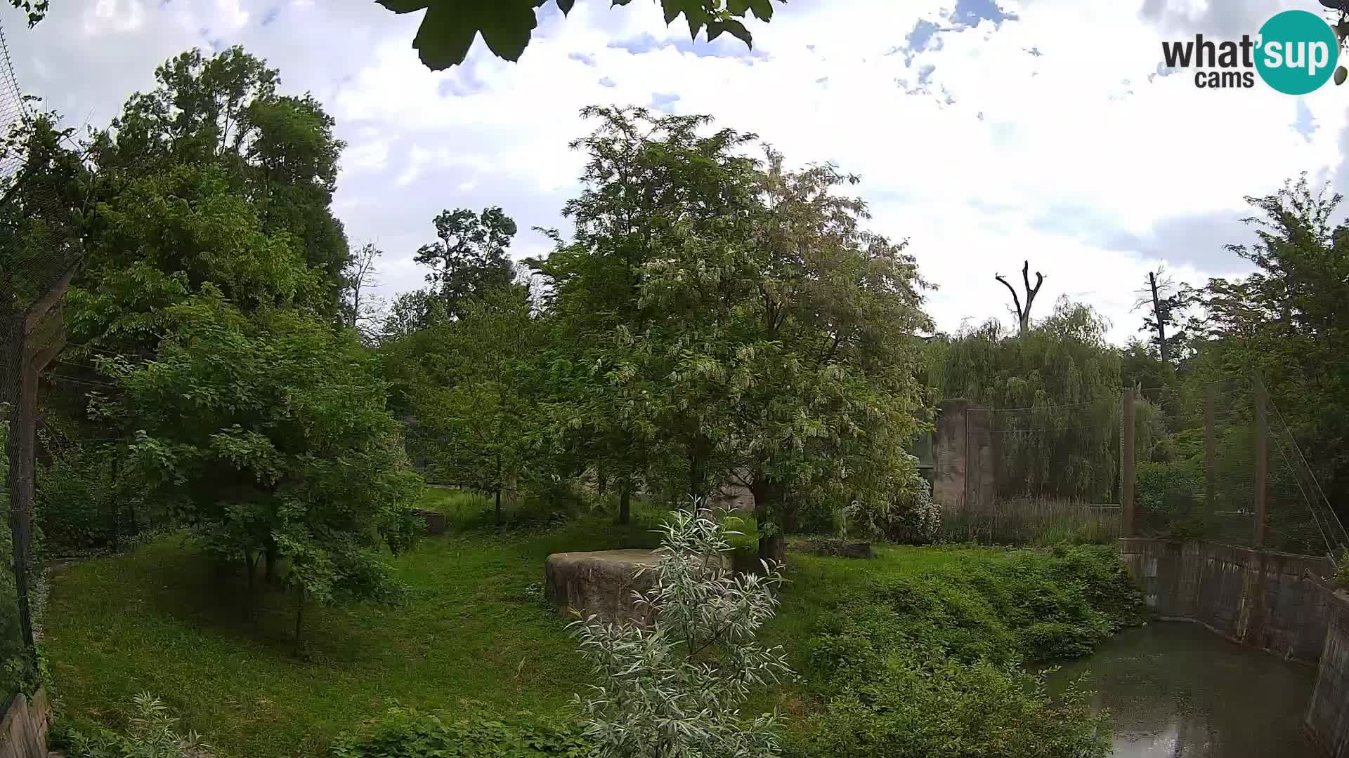 Zoo Zagreb – Lavovi