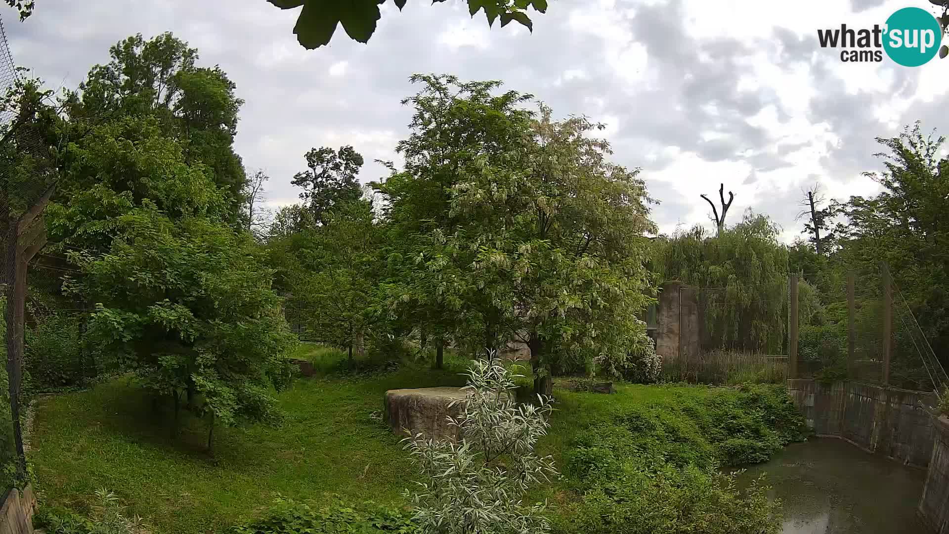 Zoo Zagreb – Leoni
