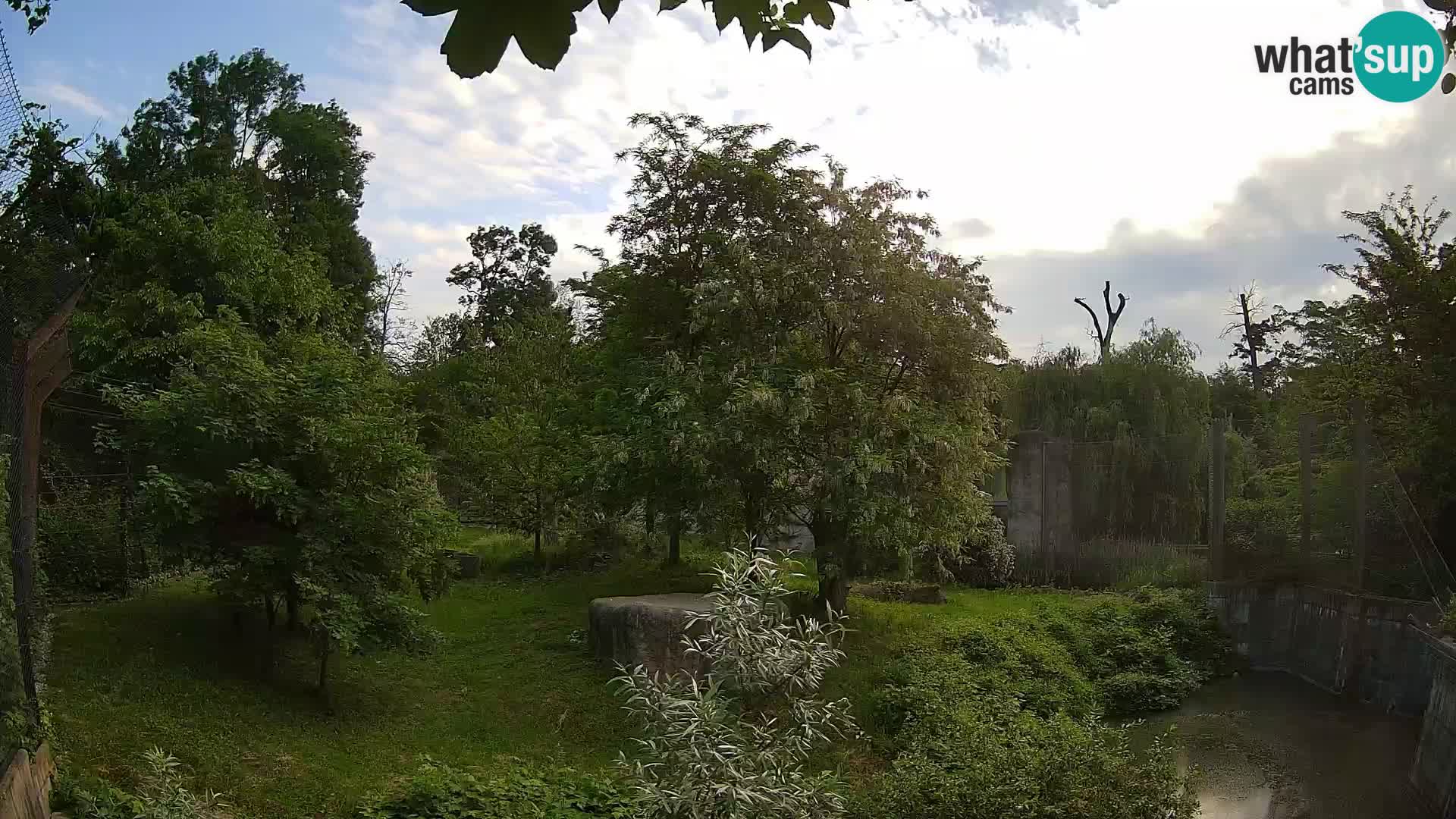 Zoo Zagreb – Leones