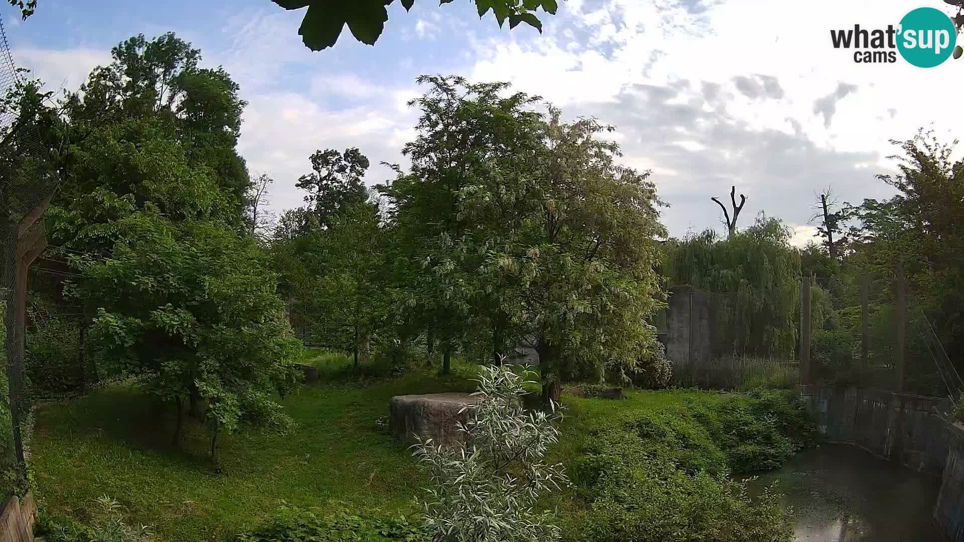 Zoo Zagreb – Lion
