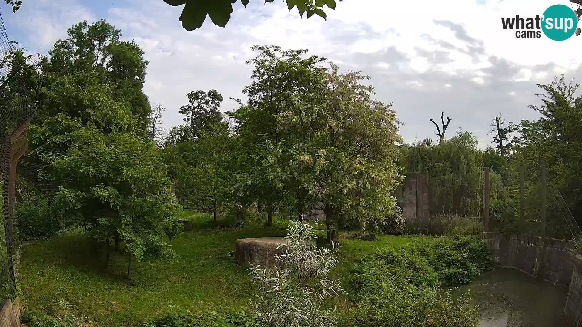 Spletna kamera Zoo Zagreb – Levi