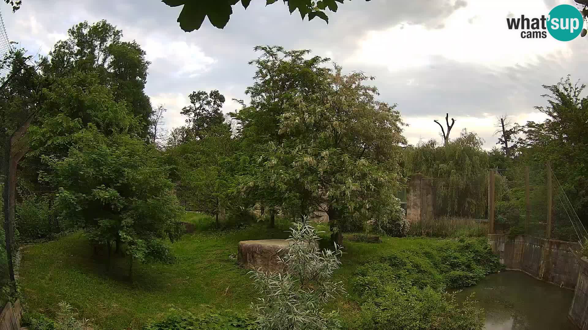 Zoo Zagreb – Leoni