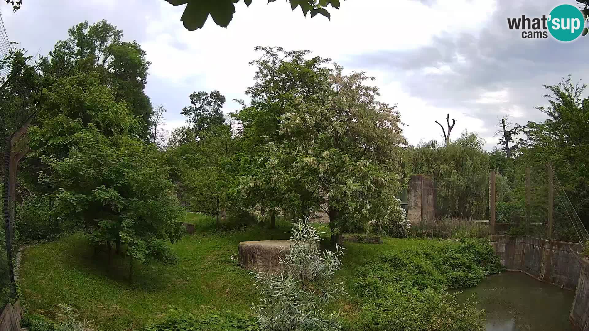 Spletna kamera Zoo Zagreb – Levi