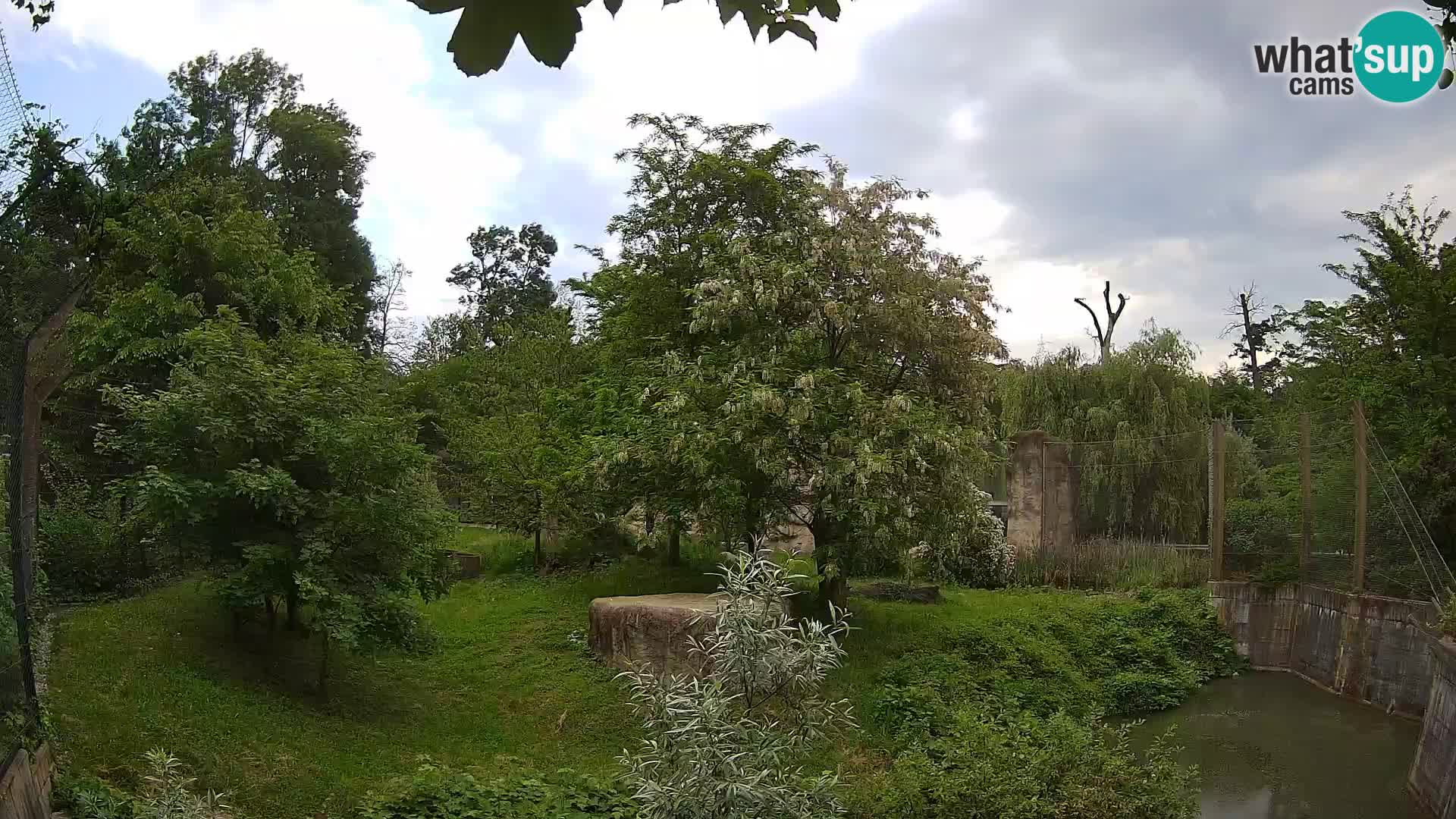 Zoo Zagreb – Löwen