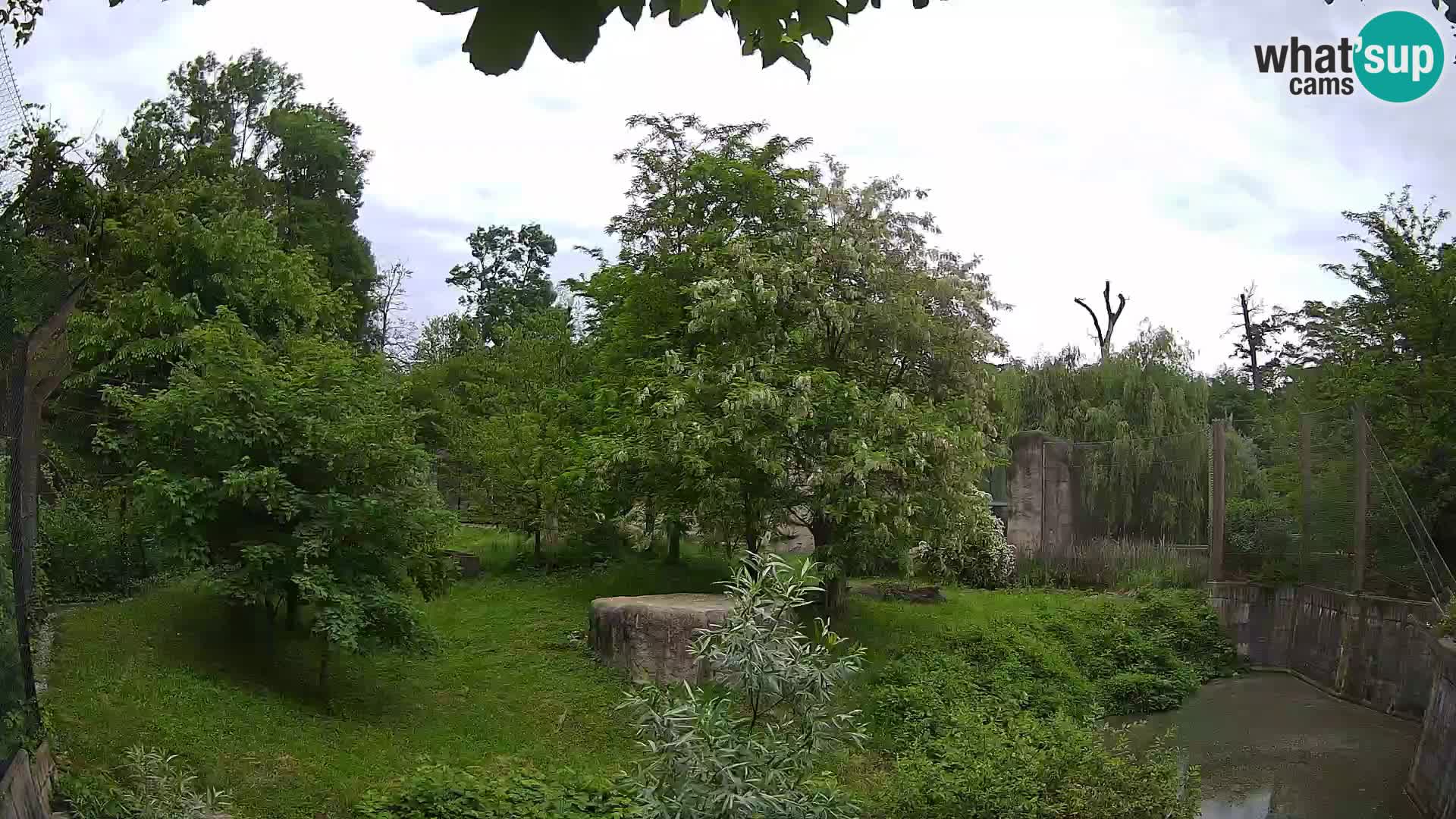 Zoo Zagreb – Leones
