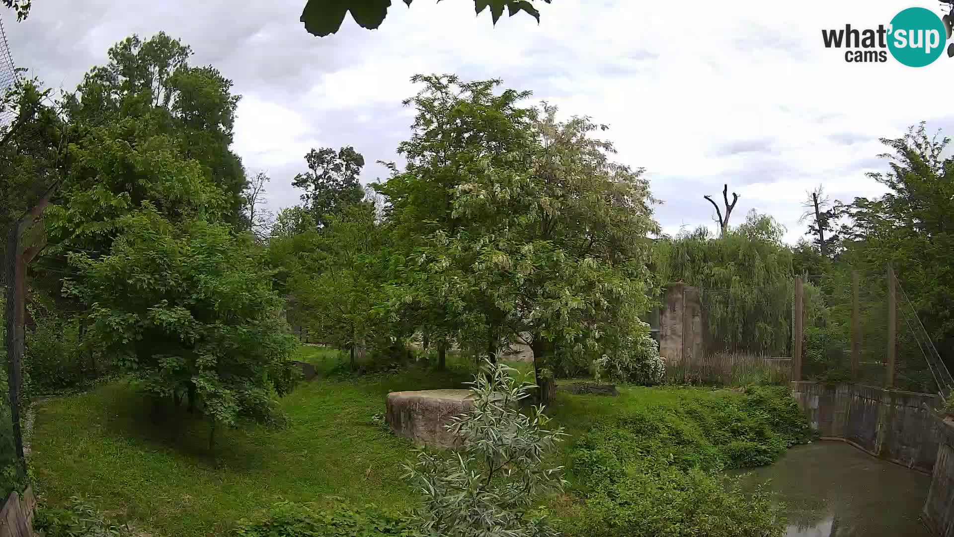 Zoo Zagreb – Löwen