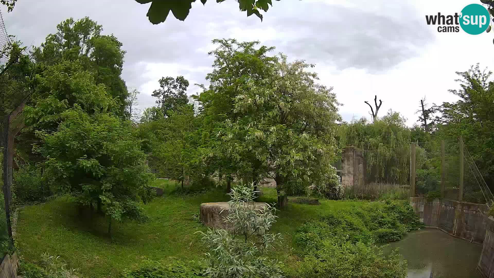Zoo Zagreb – Löwen