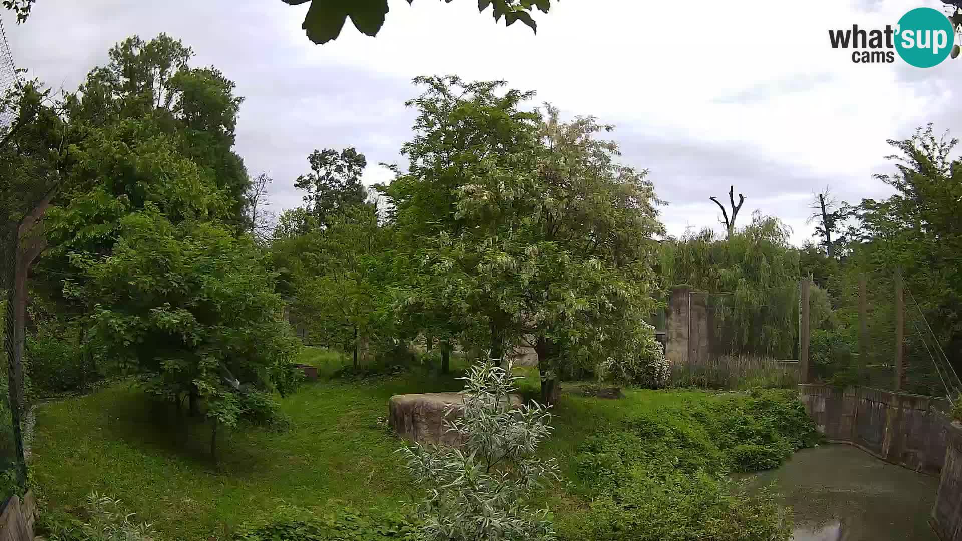 Zoo Zagreb – Löwen