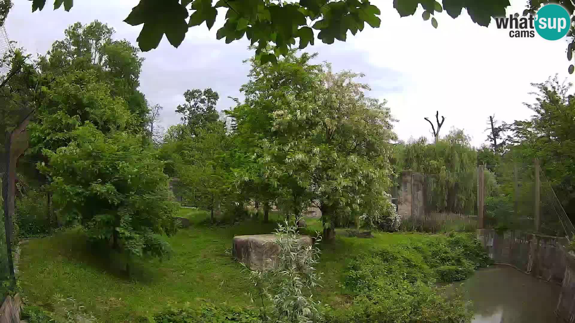 Zoo Zagreb – Leones