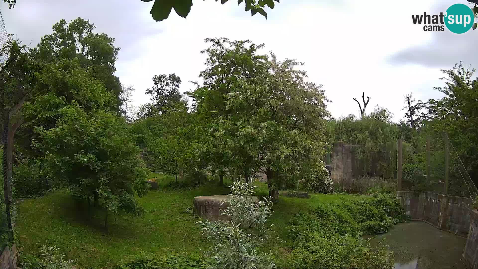 Zoo Zagreb – Leoni