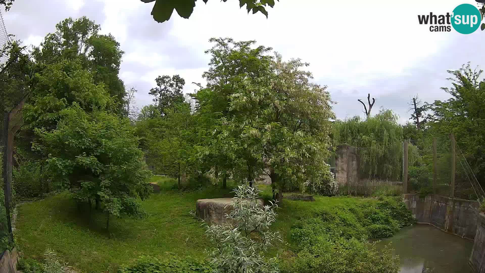 Zoo Zagreb – Leones