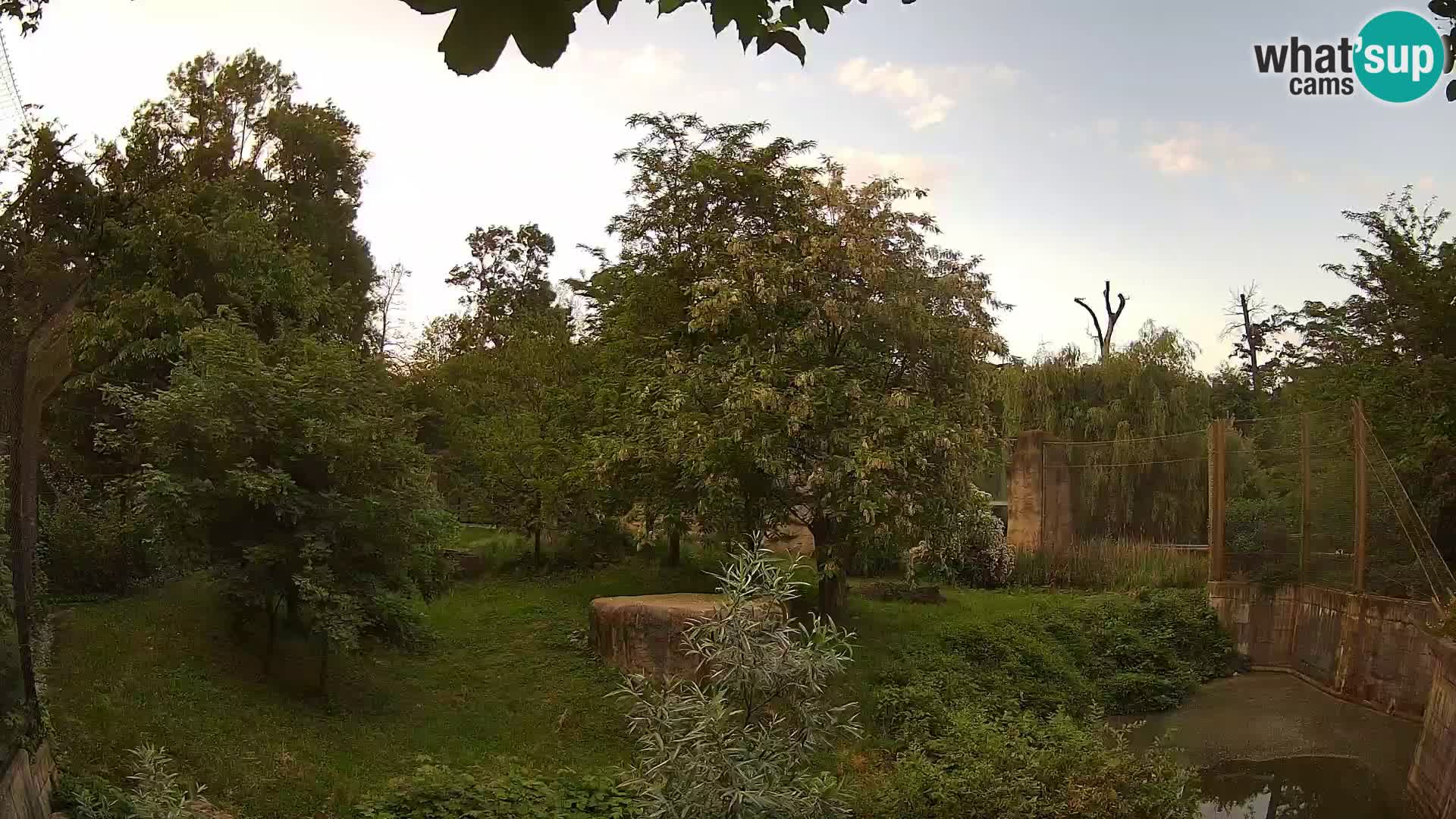 Zoo Zagreb – Löwen