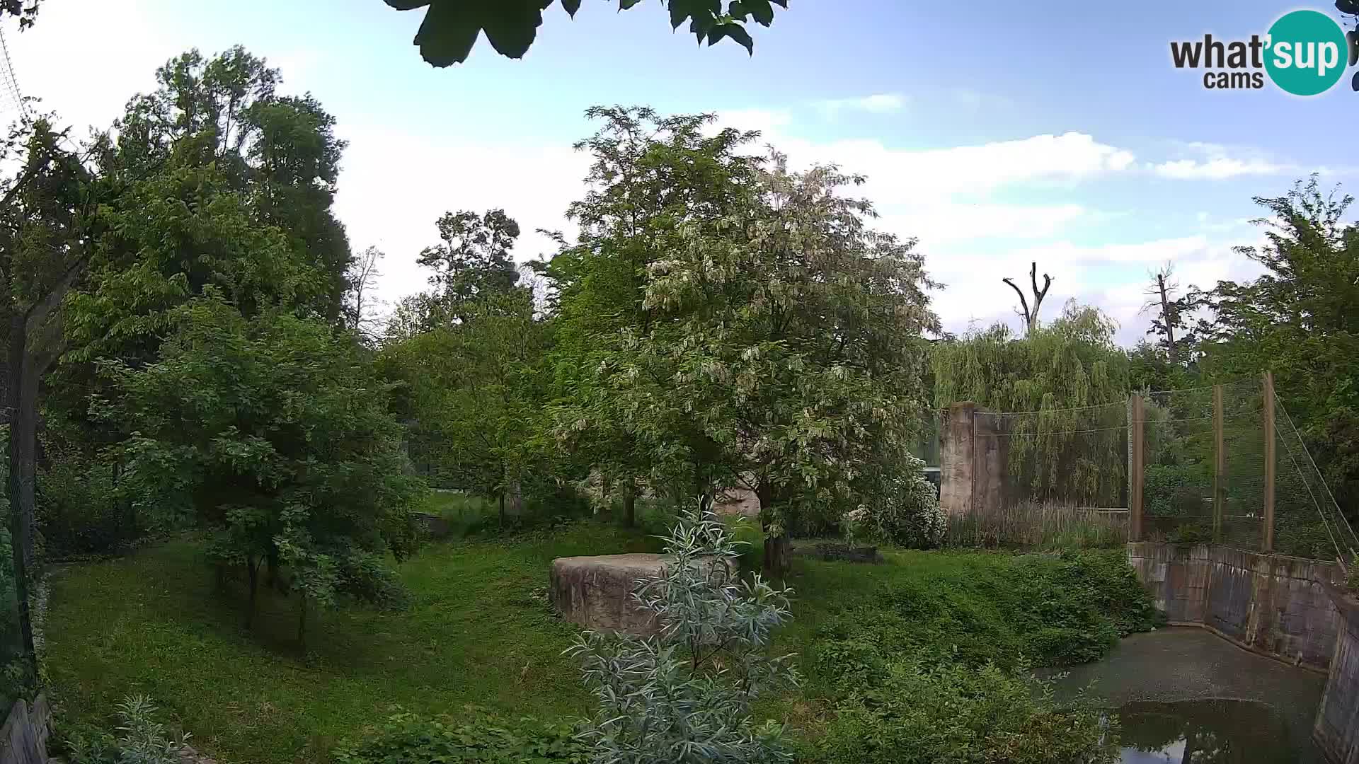Spletna kamera Zoo Zagreb – Levi