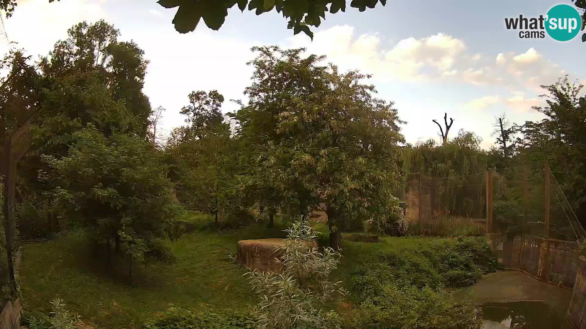 Zoo Zagreb – Löwen