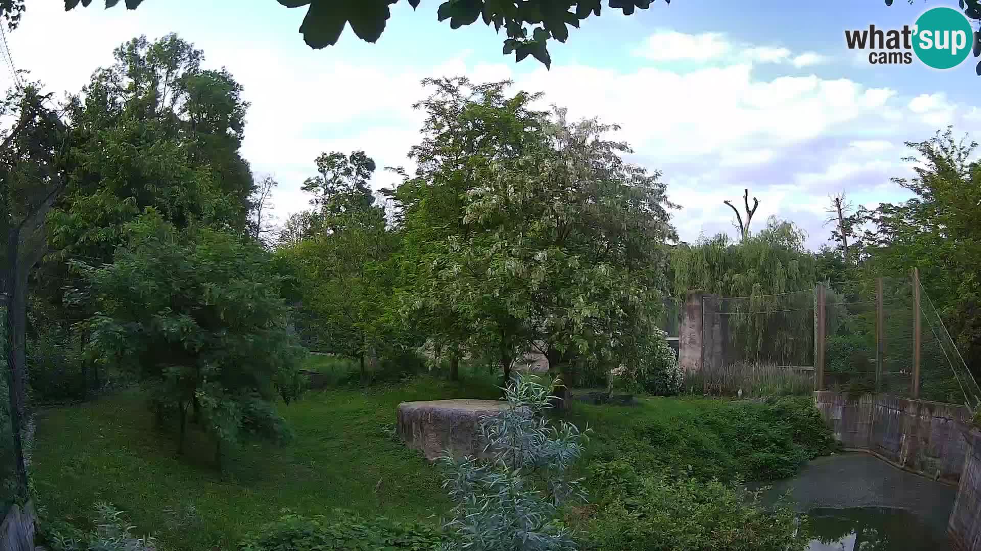 Zoo Zagreb – Leoni