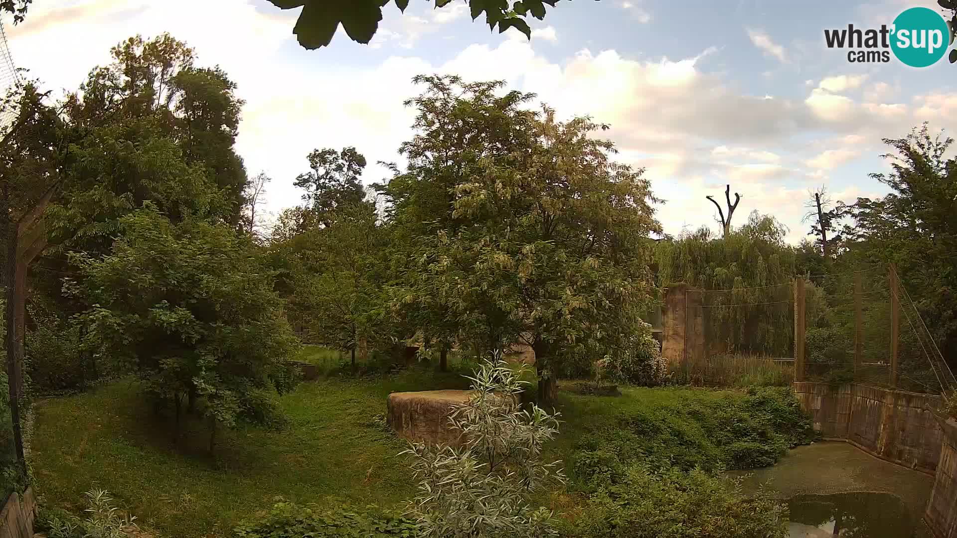 Zoo Zagreb – Löwen