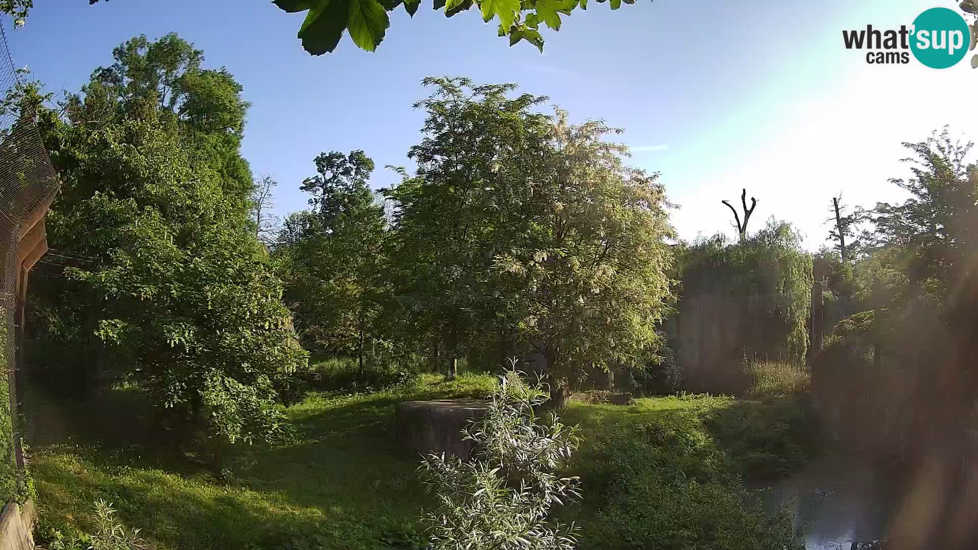 Spletna kamera Zoo Zagreb – Levi