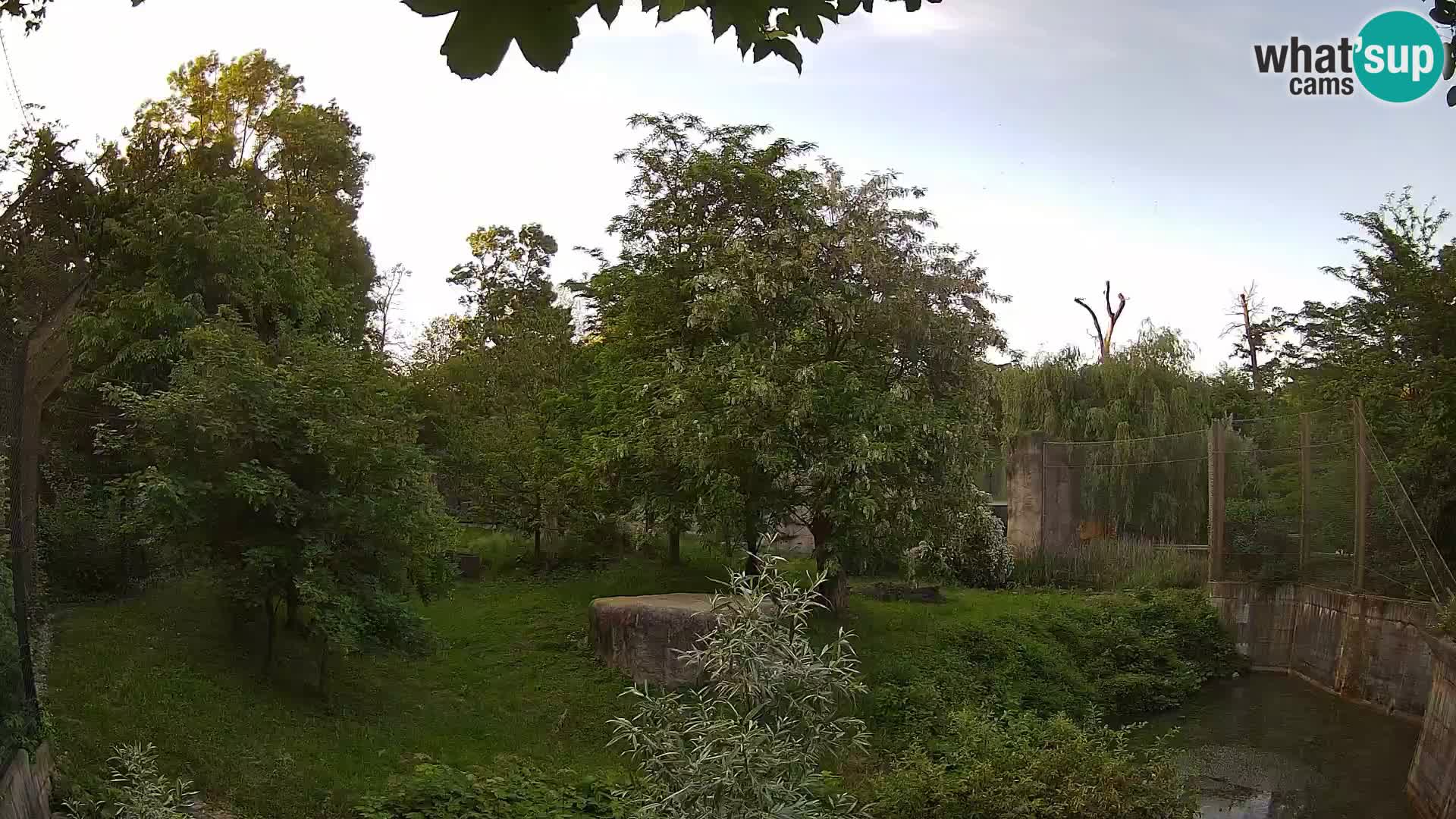 Zoo Zagreb – Leoni