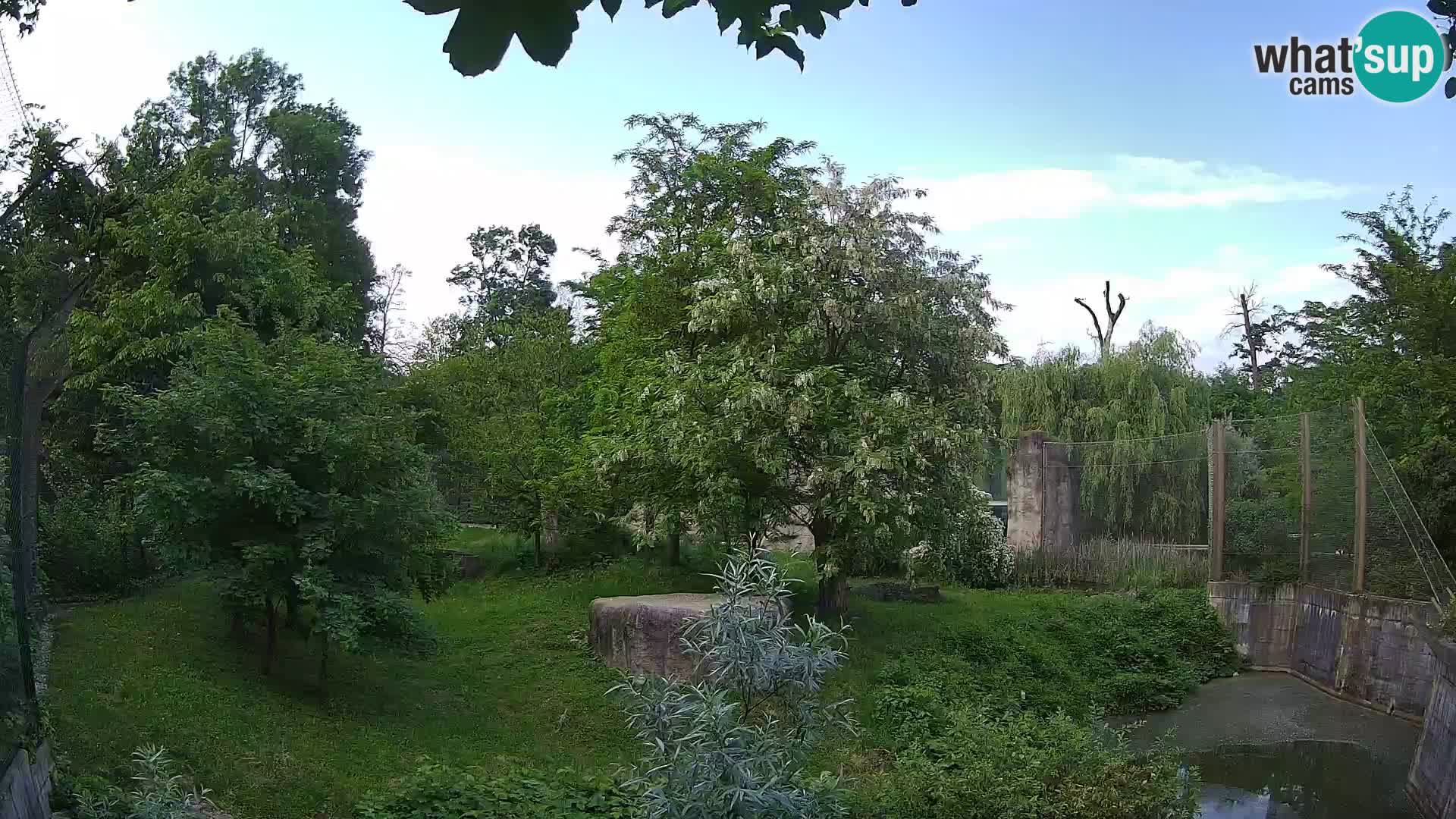 Zoo Zagreb – Lavovi