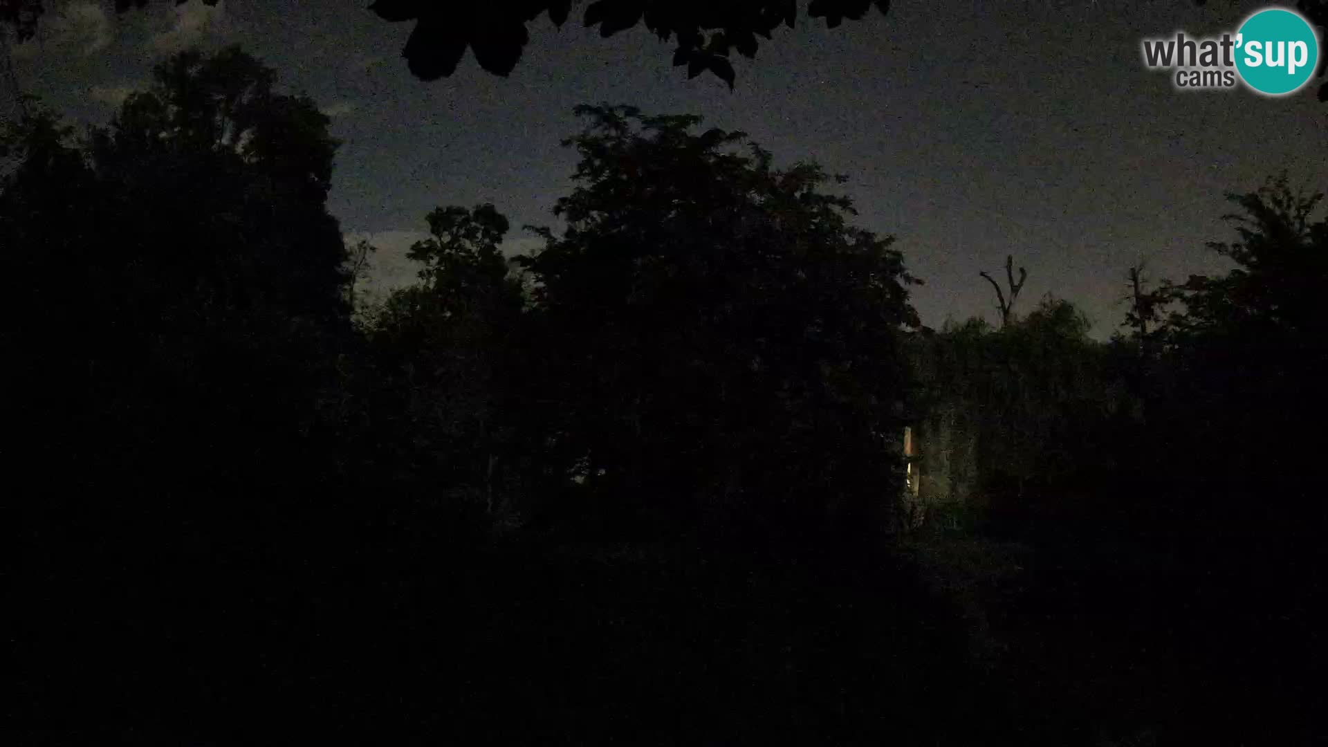 Spletna kamera Zoo Zagreb – Levi