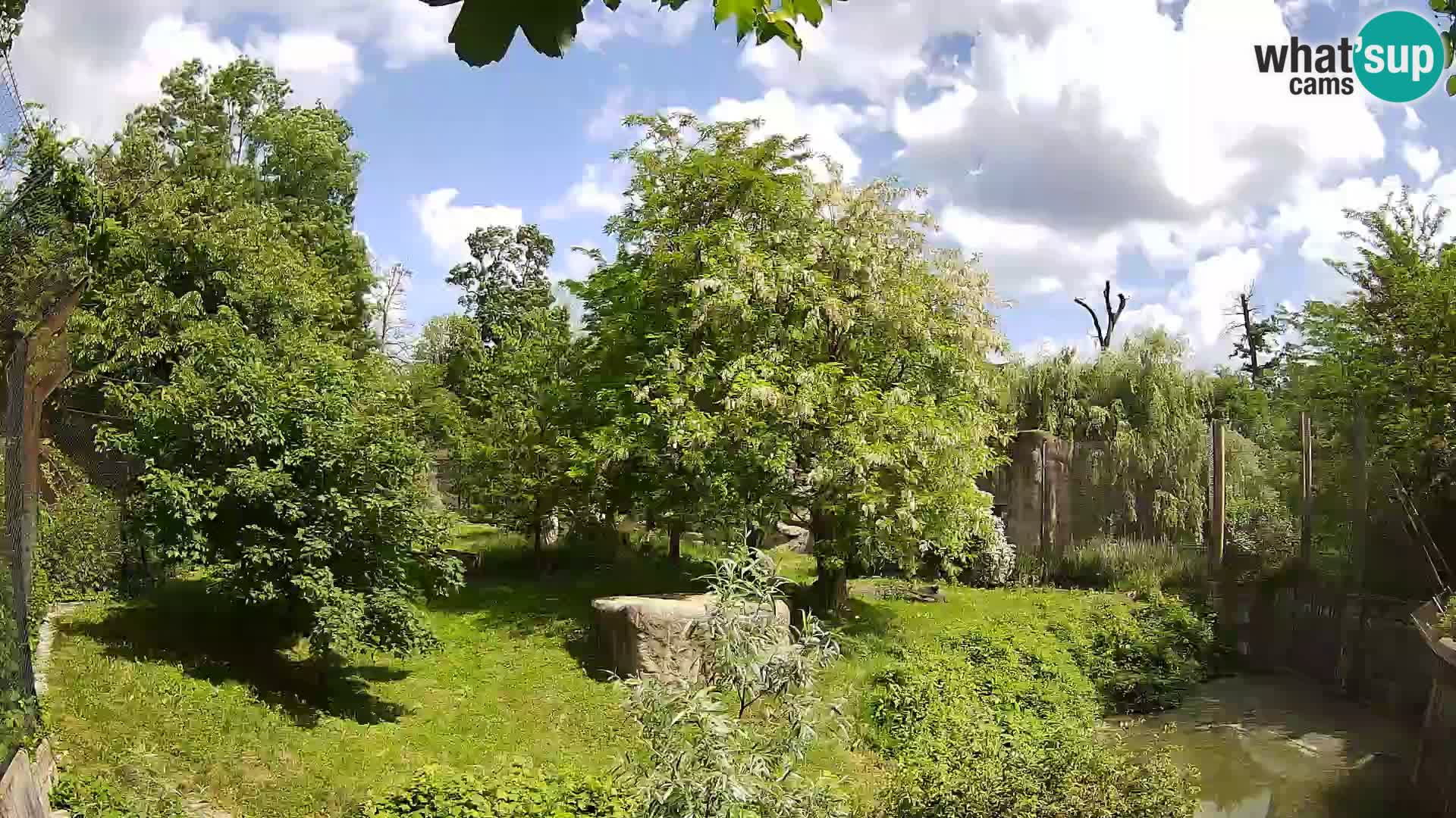 Spletna kamera Zoo Zagreb – Levi